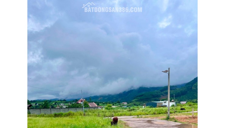 Cần Bán Đất 413m² Có 221m² Thổ Cư, Nở Hậu 13,6m, View Đồi Núi Gần Đường Nhựa